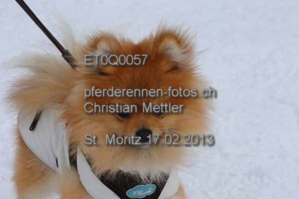 ET0Q0057 prot